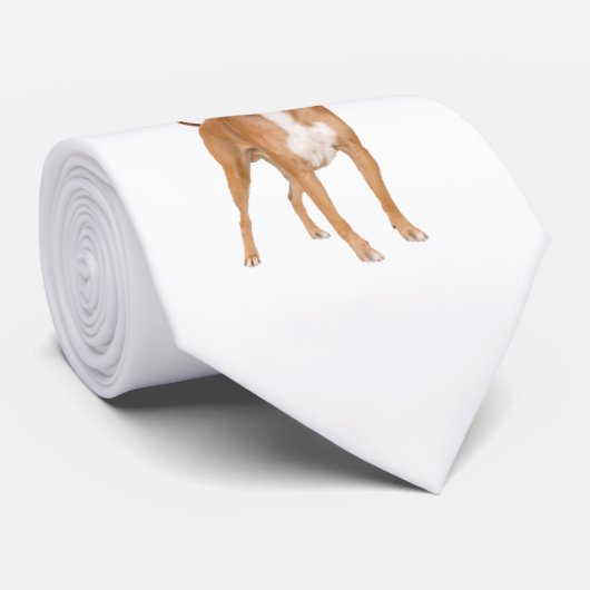 ボクサー犬 ネクタイ (ロール)