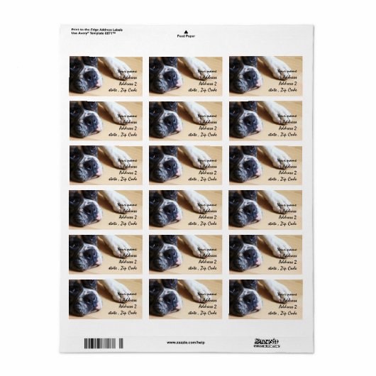 ボクサー犬 ラベル (フルシート)