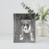 ボクサー用ポストカード ポストカード (スタンド正面)