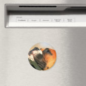 ボクサー磁石 マグネット (インサイチュ (食洗機))