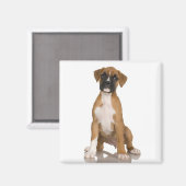 ボクサー磁石 マグネット (正面/裏面)