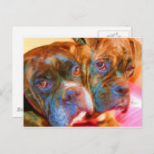 ボクサー絵葉書 ポストカード (正面/裏面)