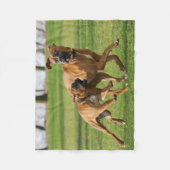 ボクサー走ドはレースおもしろい中 フリースブランケット (正面)