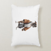 ボクサー遊ド空手、空手チャンピオンボクサー犬 アクセントクッション (正面(垂直))