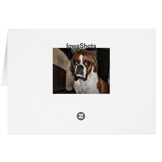 ボクサー (裏面横)