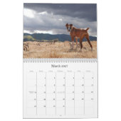 ボクサー2010年 カレンダー (3月 2027)