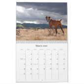 ボクサー2010年 カレンダー (3月 2026)