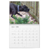 ボクサー2018のカレンダー カレンダー (3月 2026)