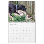 ボクサー2018のカレンダー カレンダー (3月 2027)