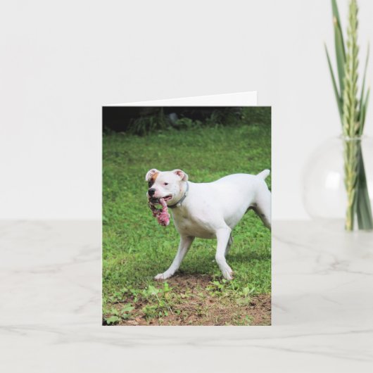 ボクサー カード (正面)