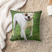 ボクサー クッション (ブランケット)