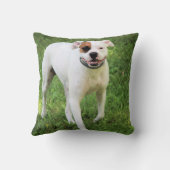 ボクサー クッション (裏面)