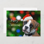 ボクサー・クリスマス シーズンポストカード (正面/裏面)