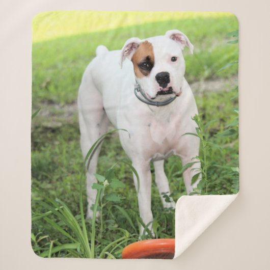 ボクサー シェルパブランケット (正面)