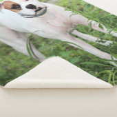 ボクサー シェルパブランケット (3/4)