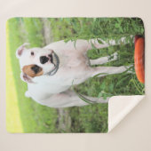 ボクサー シェルパブランケット (正面(横))