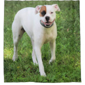 ボクサー シャワーカーテン (正面)