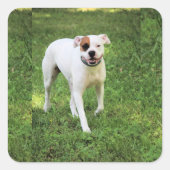 ボクサー スクエアシール (正面)