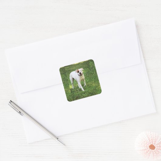 ボクサー スクエアシール (封筒)