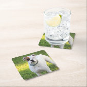 ボクサー スクエアペーパーコースター (インサイチュ)