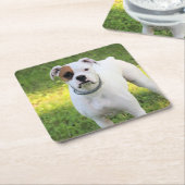 ボクサー スクエアペーパーコースター (アングル)