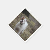 ボクサー スタンダードカクテルナプキン (角)