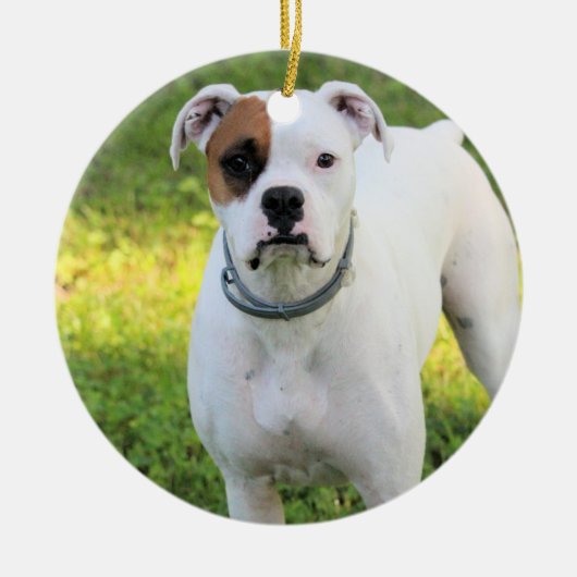 ボクサー セラミックオーナメント (正面)