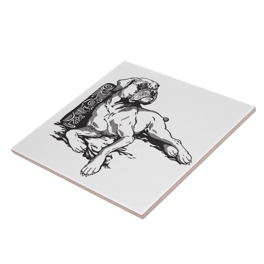 ボクサー タイル (側面)