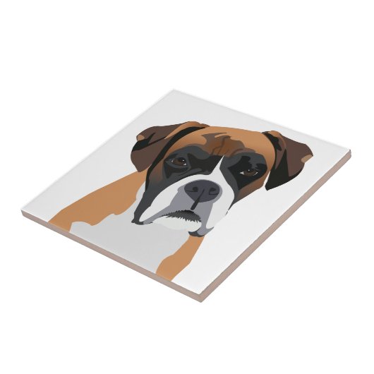 ボクサー タイル (側面)