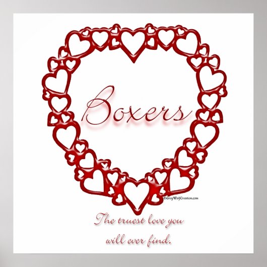 ボクサー・トゥルーラブ・ポスター ポスター (正面)