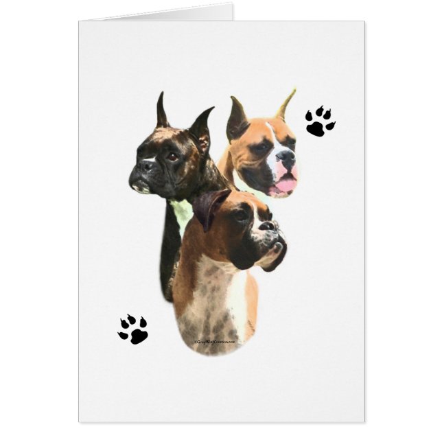 ボクサー・トリオ (正面)