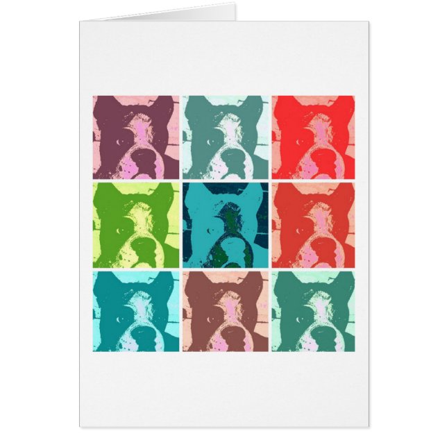 ボクサー・ドッグ (正面)