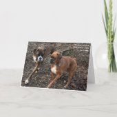 ボクサー・ドッグ・バレンタイン ノートカード (正面)