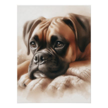 ボクサー・ドッグ：Chillのマスター&Expert Snuggler