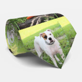 ボクサー ネクタイ (ロール)