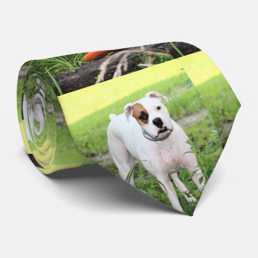 ボクサー ネクタイ (ロール)