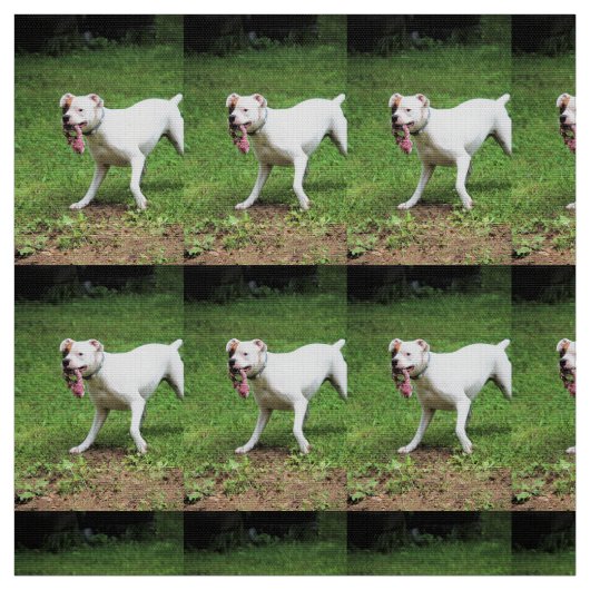 ボクサー ファブリック (見本)