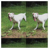 ボクサー ファブリック (クローズアップ)