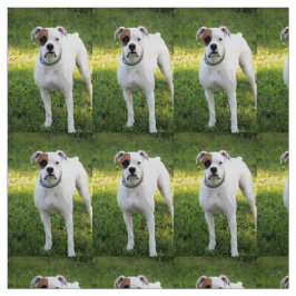 ボクサー ファブリック