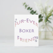 ボクサー・フーレバー ポストカード (スタンド正面)