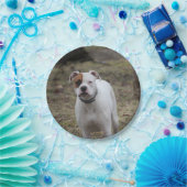 ボクサー ペーパープレート (パーティー)