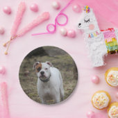 ボクサー ペーパープレート (パーティー)