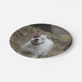 ボクサー ペーパープレート (アングル)