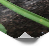 ボクサー ポスター (角)