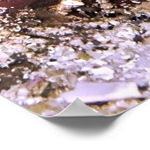 ボクサー ポスター (角)