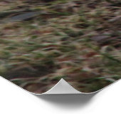 ボクサー ポスター (角)