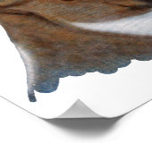 ボクサー ポスター (角)