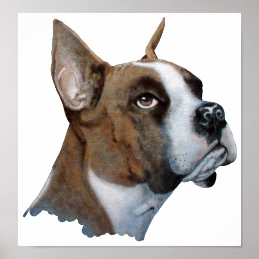 ボクサー ポスター (正面)