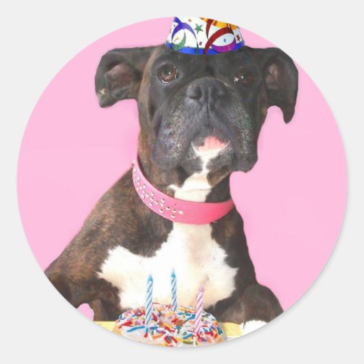 ボクサー ラウンドシール (正面)