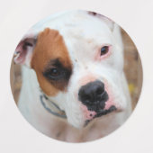 ボクサー ラベル (デザイン2)